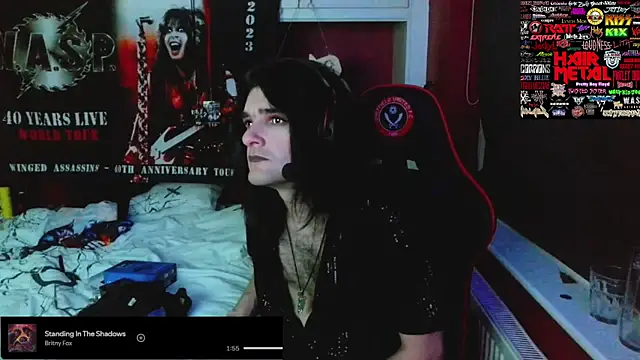 Rocker_Assassin_WASP_FAN webcam