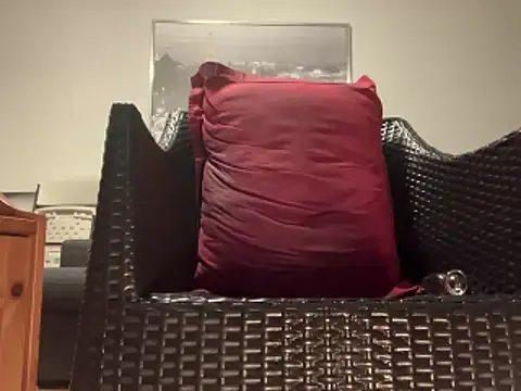 Tyyson03 webcam