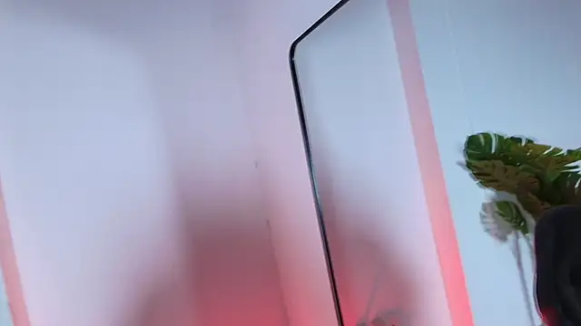 Kendall-Kith webcam