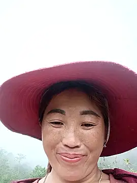 seacyre webcam