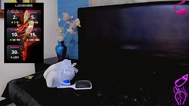 Victoria_Kastelo webcam