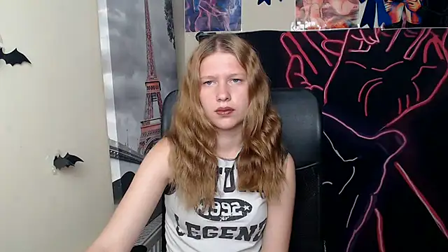 StellaCRL webcam