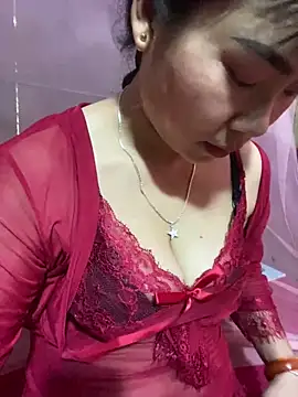 Nul_chal webcam