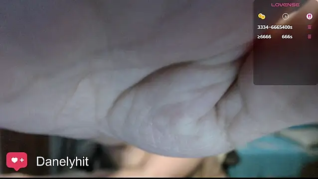 Danelyhit webcam