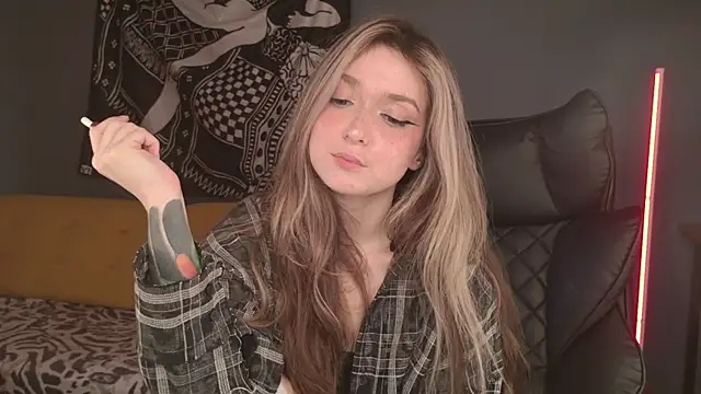 BellaSink webcam