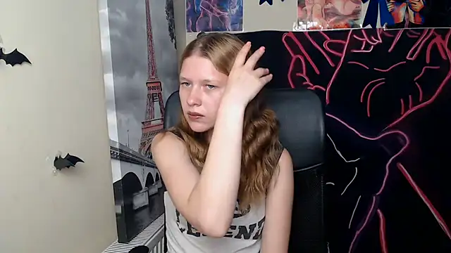 StellaCRL webcam
