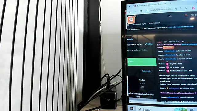 MelodyPrice webcam