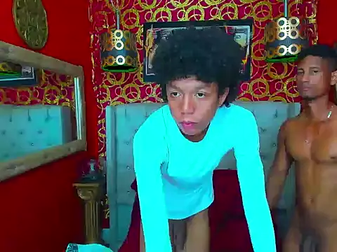 PEINBOYS webcam