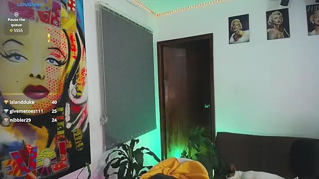 shellsy_hans webcam