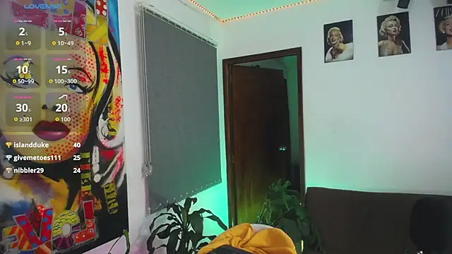 shellsy_hans webcam
