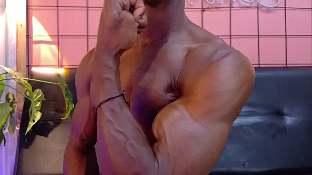 martin_killer webcam