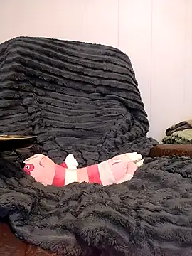 HoneySquirrel webcam
