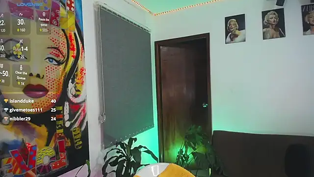 shellsy_hans webcam