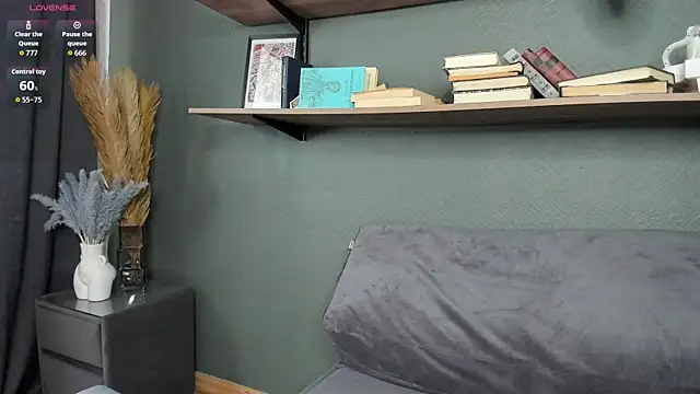 DelorisDetrich webcam