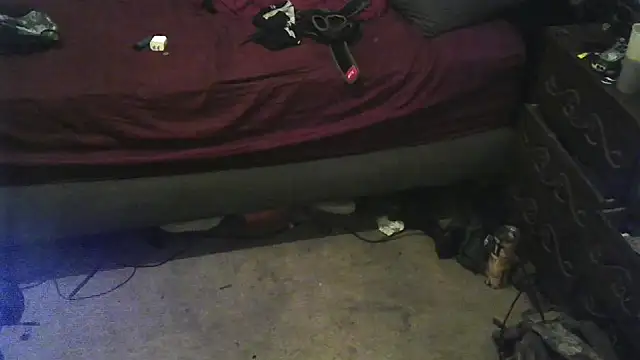 Johnny1991Blunt webcam