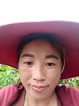 seacyre webcam