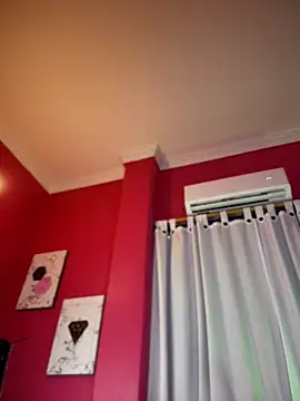 NovaFoxx webcam