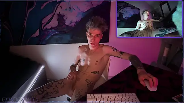 davesinner webcam