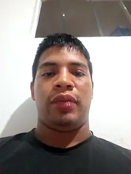 Ariaest webcam
