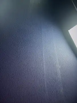 Asianpie_ webcam