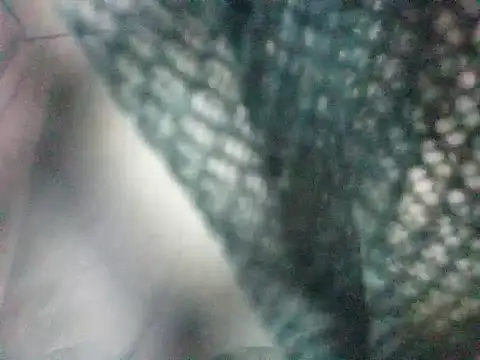 heesuu11 webcam