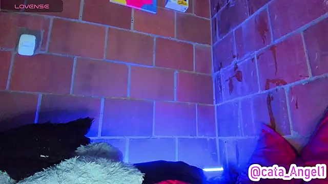 Cata-angel webcam