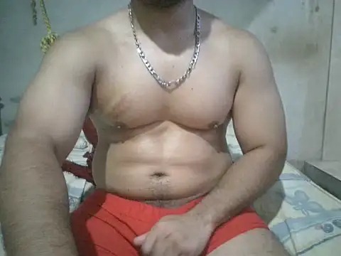 Alcee490 webcam