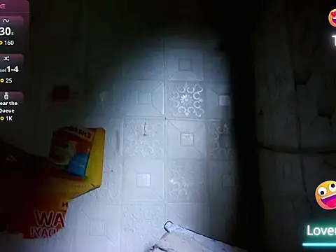 HugeAgatha webcam