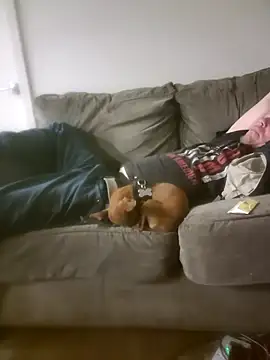 yourMasterisBored webcam