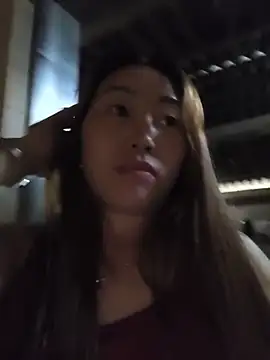 he-se-kin webcam
