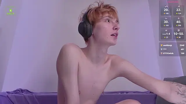 Your_avatar webcam