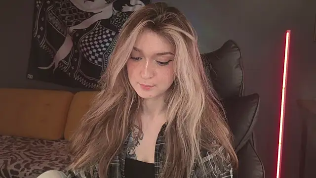 BellaSink webcam