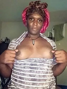 Kimmikum webcam