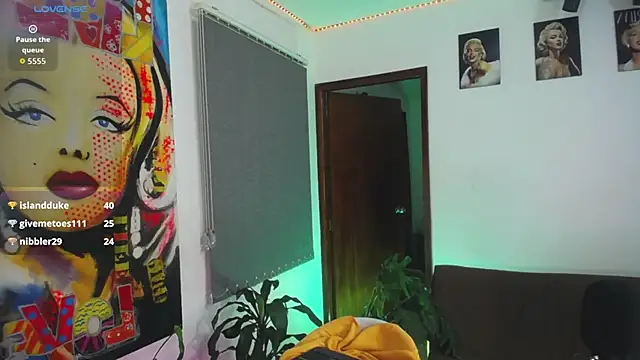 shellsy_hans webcam