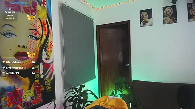 shellsy_hans webcam