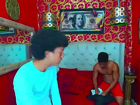 PEINBOYS webcam