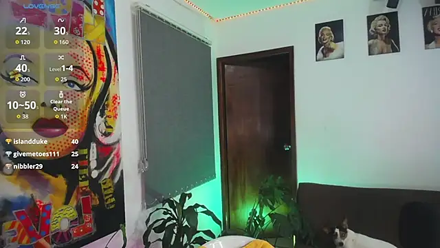 shellsy_hans webcam