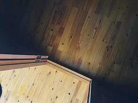 kussecka webcam