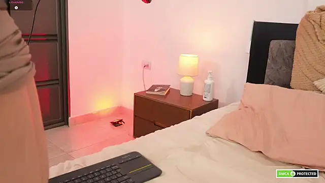Erelisstrip webcam