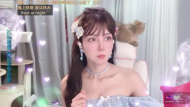 hi-AnAn webcam