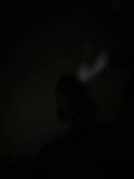 TheDime webcam