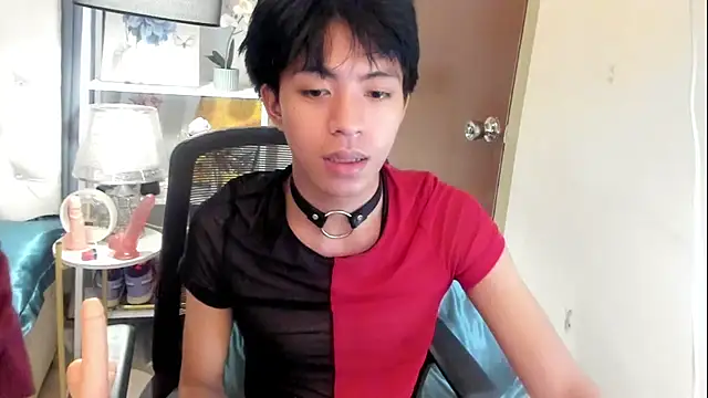davincihugecock webcam