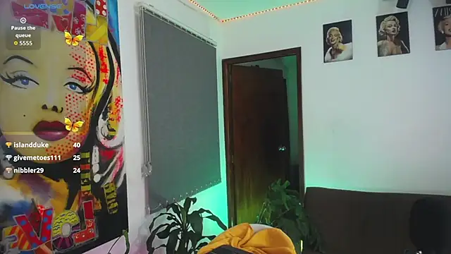 shellsy_hans webcam