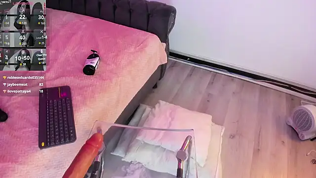 Abbyy_stone webcam