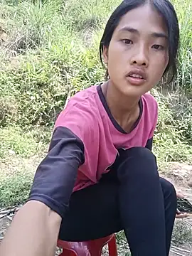 Hoa-tuylip