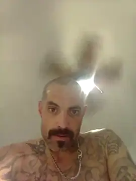 wesstfine webcam