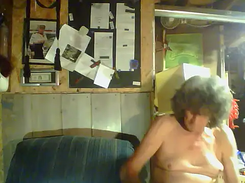 OldManOnline webcam