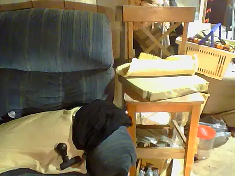 OldManOnline webcam