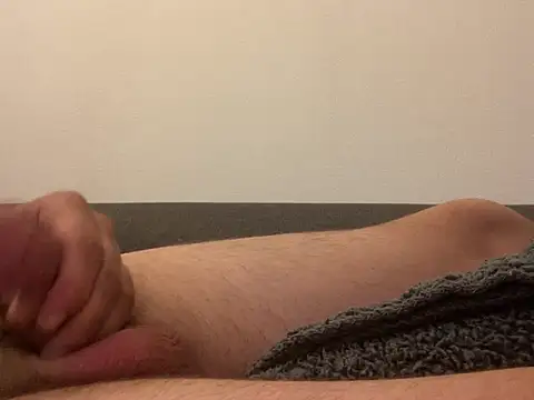 mesetti webcam
