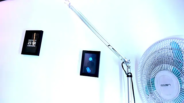 Pit_Ross webcam